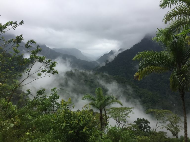 Choco Rainforest Colombia Trip Report Sept 2017